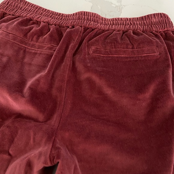 Madewell crushed velvet pants! - Picture 3 of 5